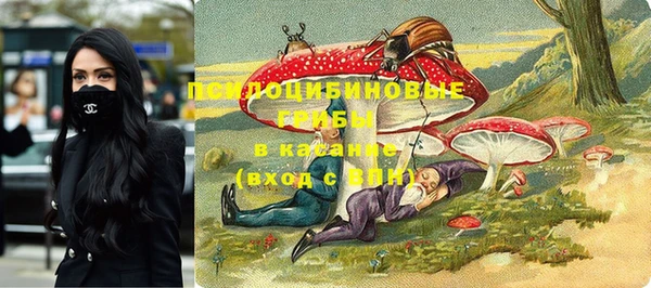 ALPHA-PVP Алексеевка